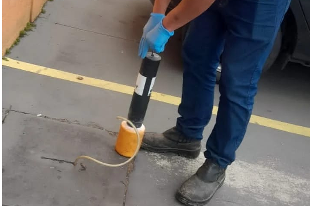 dedetização progete litoral