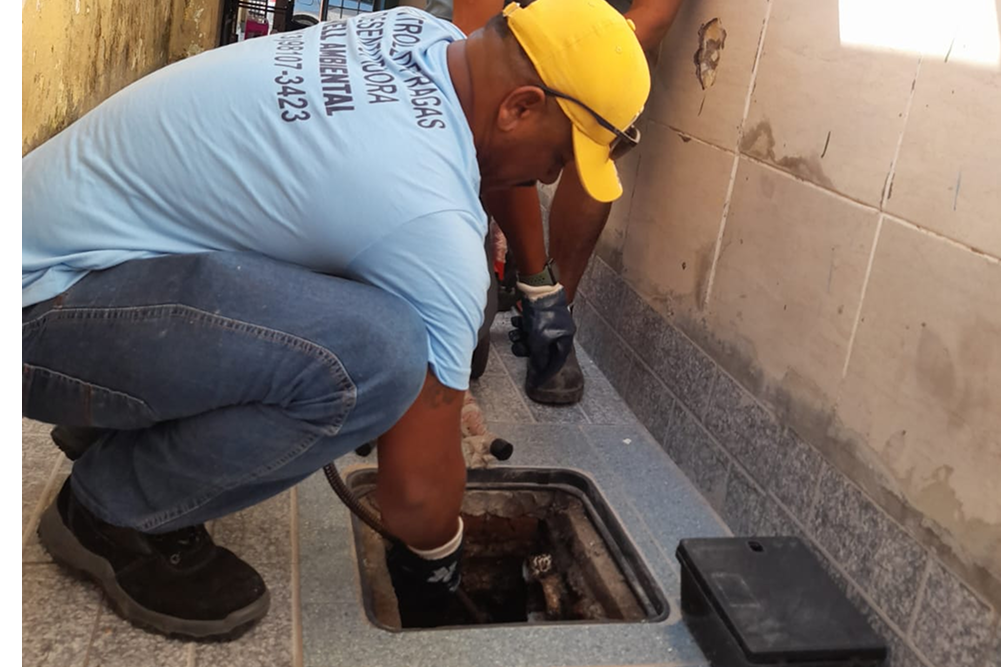 dedetização progete litoral