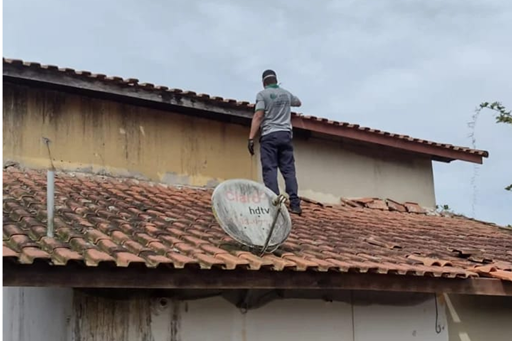 dedetização progete litoral